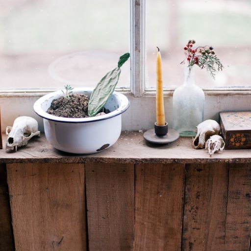 Wood Painting Window Cactus 6689